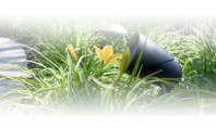 Sonance Sonarray SR1, l’audio outdoor definitivo