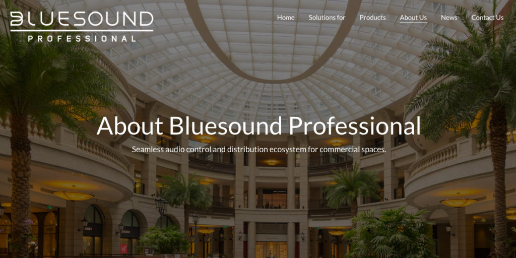 Prase Bluesound Professional